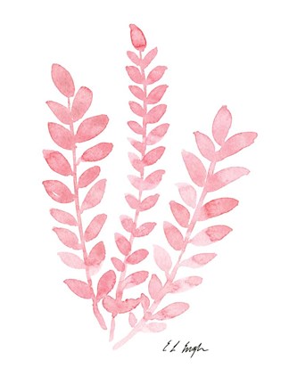 Framed Pink Fern Print
