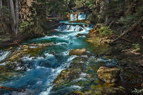 Framed McKensie River Print