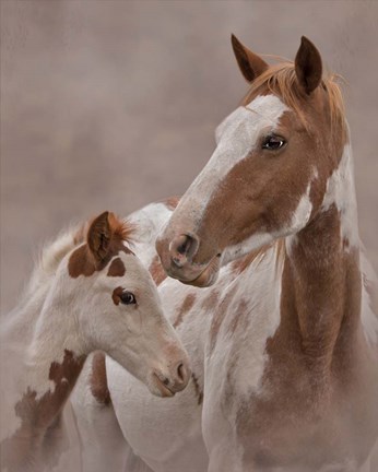 Framed Gypsy &amp; Sentinel Print