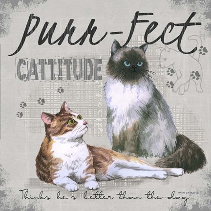 Framed Cattitude Print