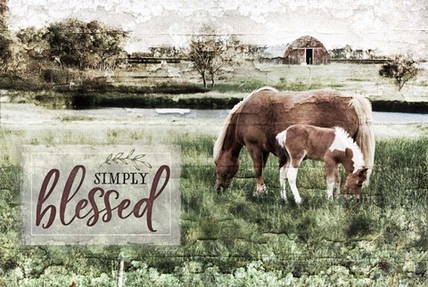 Framed Simply Blessed Print