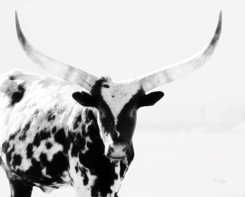 Framed Longhorn II Print