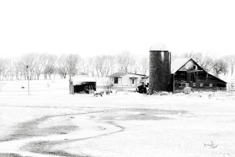 Framed Barn IV Print