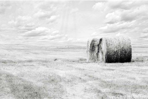 Framed Hay Bales Print
