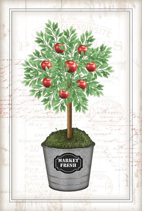 Framed Apple Topiary Print