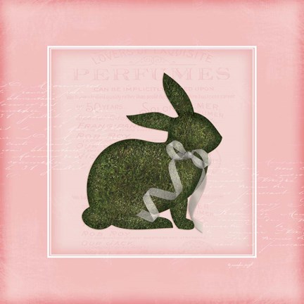 Framed Bunny II - Pink Print