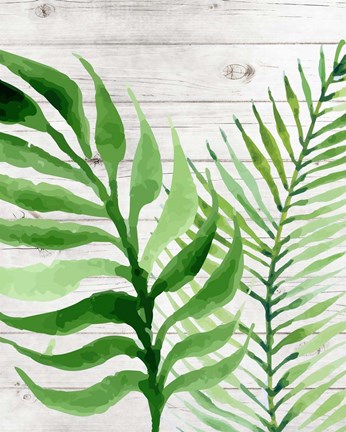 Framed Banana Leaf II Print