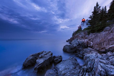 Framed Blue Knight Print