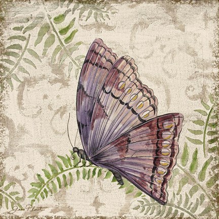 Framed Butterfly Daydreams - B Print