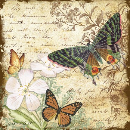 Framed Inspirational Butterflies - D Print