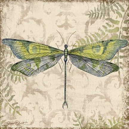 Framed Dragonfly Daydreams - C Print