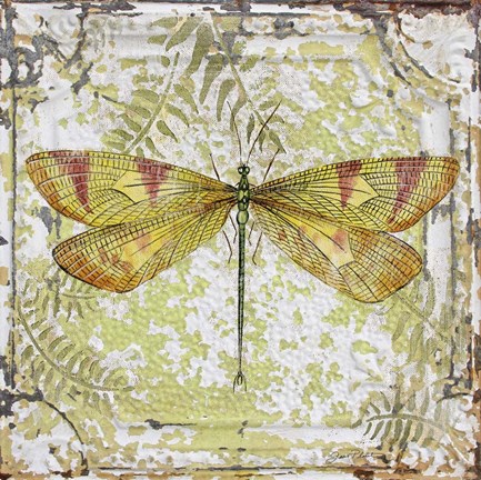 Framed Dragonfly On Tin Tile Print
