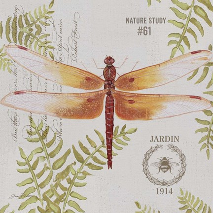 Framed Botanical Dragonfly B Print