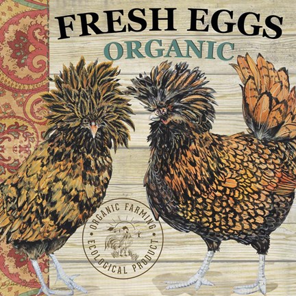 Framed Polish Hen - A Print