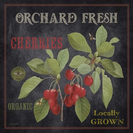 Framed Orchard Fresh Cherries Print