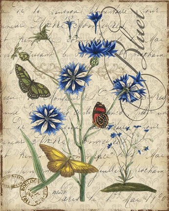 Framed Botanical - Aster Bluet Damask Print