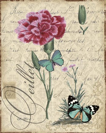 Framed Botanical - Carnation Oeillet Damask Print