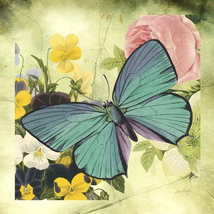 Framed Butterfly Visions With Bleed Print