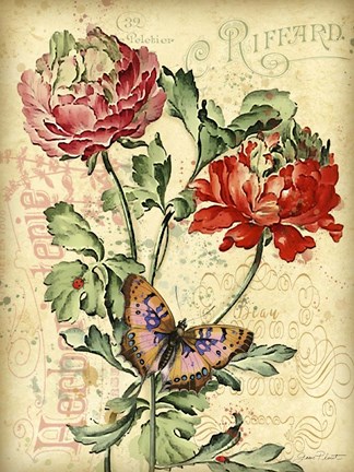 Framed French Florals 3 Print