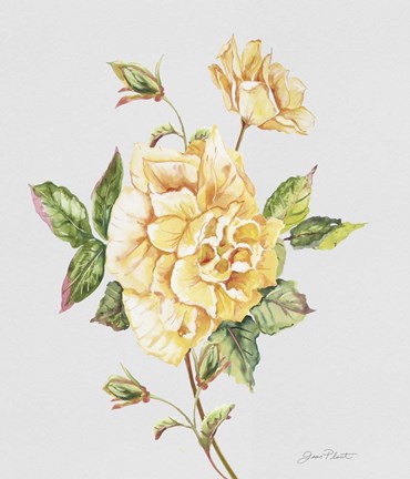 Framed Botanicals 3 Print