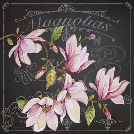 Framed Magnolias 2 Print