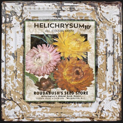 Framed Tin Tile - Helchrysum Print