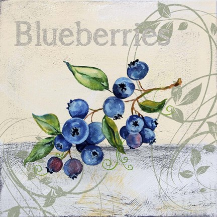 Framed Tutti Fruiti Blueberries Print