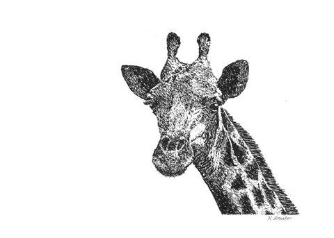 Framed Giraffe Print