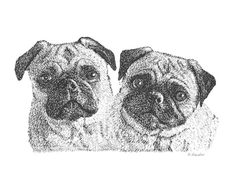Framed Pugs Print