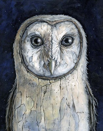 Framed Barn Owl I Print