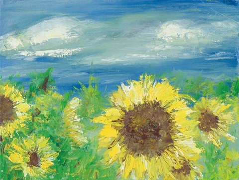 Framed Eastern Plains Sunflower Print