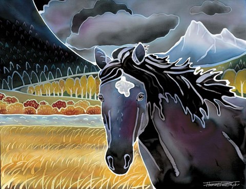 Framed Black Horse At Night Print