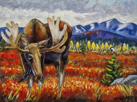 Framed Moose In The Autumn Tundra Print