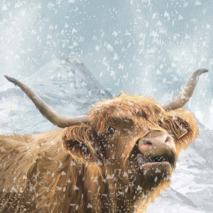 Framed Highland Cow 1 Print