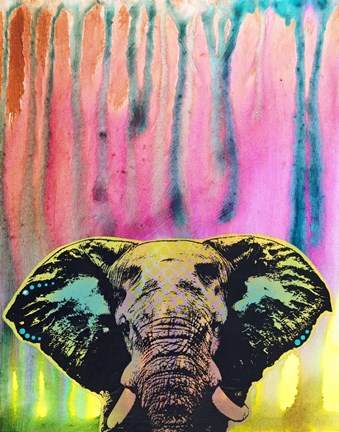 Framed Elephant Print