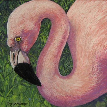 Framed Flamboyant Flamingo Print