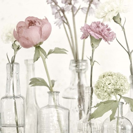 Framed Flowers in Bottles Still Life Print