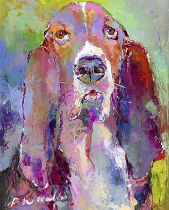 Framed Art Basset Hound Print