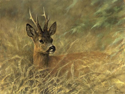 Framed Resting Print