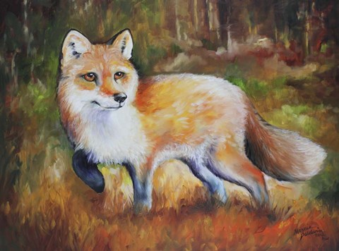 Framed Little Red Fox Print