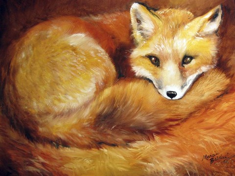 Framed Red Fox Den Print