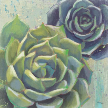 Framed Succulents I Crop Print