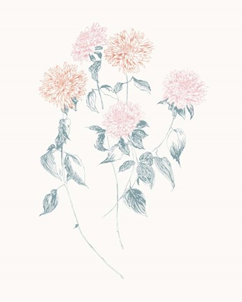 Framed Flowers on White VI Contemporary Print