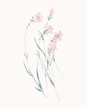 Framed Flowers on White V Contemporary Print