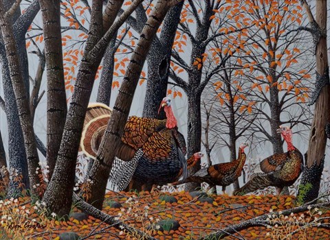 Framed Always Alert Print