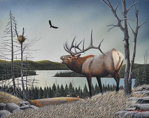 Framed Bugling Elk Print