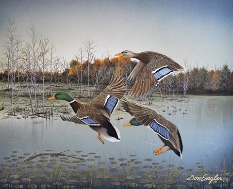 Framed Landing Zone Print