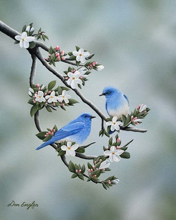 Framed Signs of Spring Print