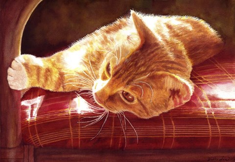 Framed Red On Red Print