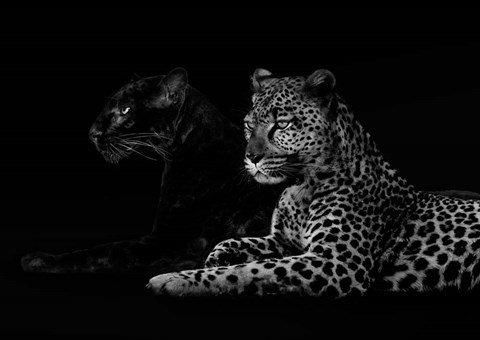 Framed Brotherhood (detail) Print